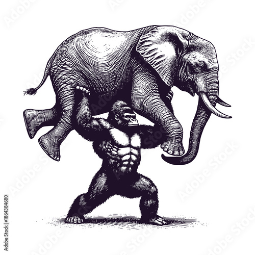 gorilla lifting elephant