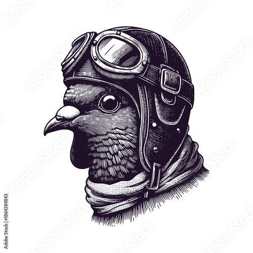 pigeon wearing a pilot's helmet