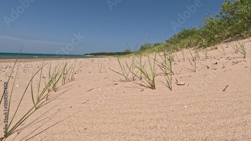 Stationary views of sand dunes with wild marram grass on the beach of Lake Michigan. Coastal vegetation ecosystem located within Wilderness State Park in Northern Michigan, USA.
