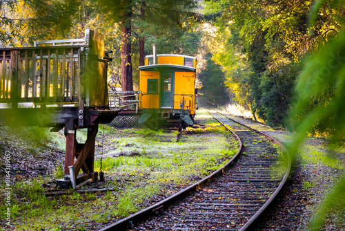 Roaring Camp Railroad train in Henry Cowell Redwoods State park