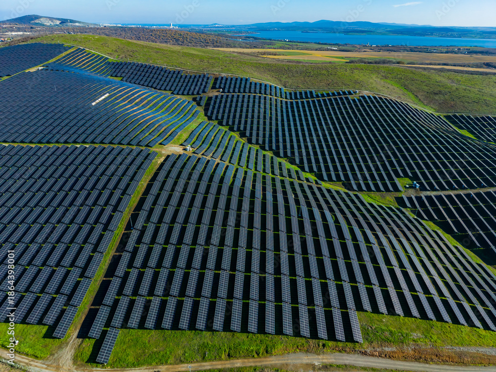 Fototapeta premium Solar panels cover a large area on a hillside near a body of water, showcasing renewable energy infrastructure under a clear sky during the day