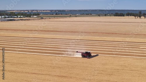 Harvester moves across golden crop with Lake Mulwala beyond
