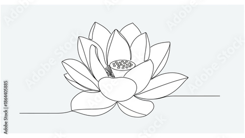 line drawing lotus flower