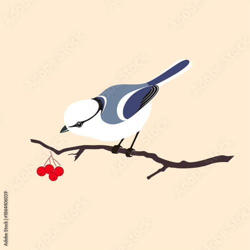 A blue tit bird sitting on a branch with berries. The azure tit (Cyanistes cyanus) is a passerine bird in the tit family Paridae. Parus cyanus (Pallas) Parus saebyensis (Sparrman).