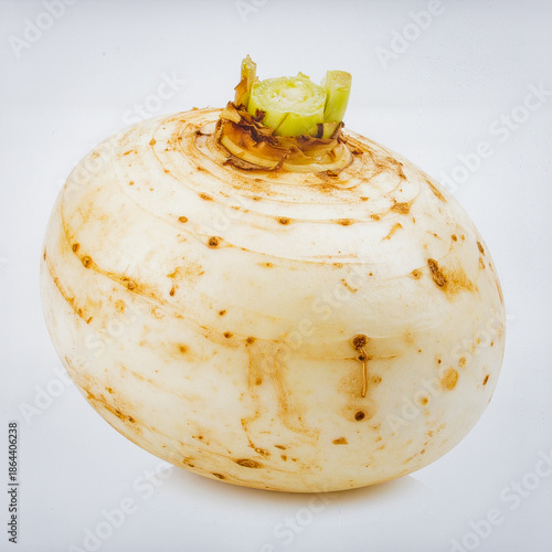 Fresh Jicama Root Isolated on White Background, Crunchy White Vegetable Used in Salads and Healthy Snack Concept