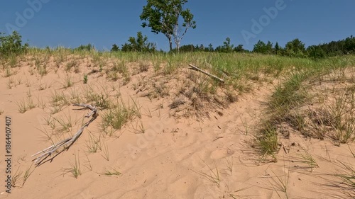 Beach and Sand Dune Landscape on Lake Michigan. Climbing through sand dunes on the beaches of Lake Michigan. Unspoiled nature located within Wilderness State Park in Northern Michigan, USA.