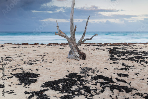 Carribean sea landscape, Dominican Republic