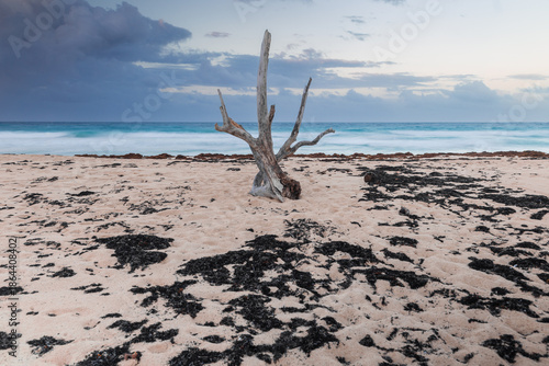 Carribean sea landscape, Dominican Republic