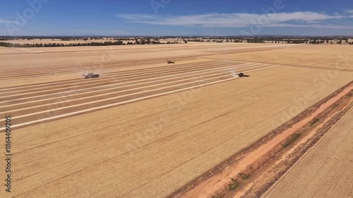 Three harvesters raising some dust as they work a wheat farm