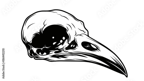 Stylized black and white illustration of a raven skull with intricate detailing and bold lines