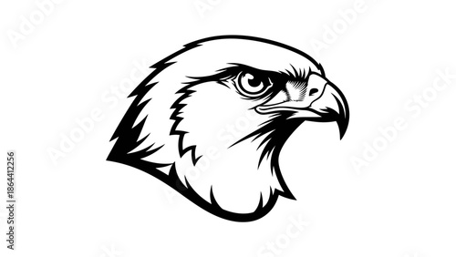 Bold and Dynamic Eagle Head Illustration Representing Power and Freedom