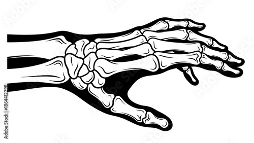Detailed artistic depiction of a human skeletal hand in a resting position emphasizing bone