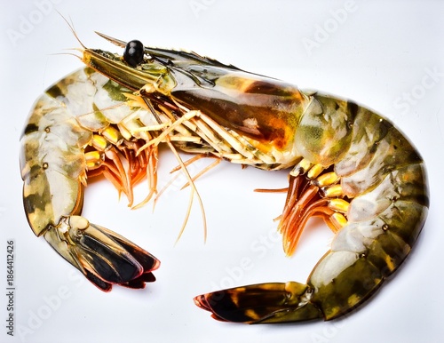Wild-caught tiger prawns with natural shell coloration and elegant curved form, representing premium crustacean quality, isolated on pristine white background.