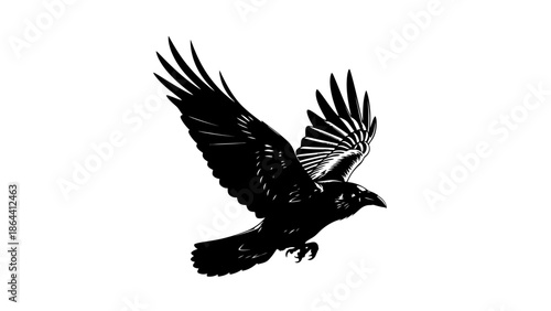 Dynamic black silhouette of a soaring bird with detailed wings and tail in flight