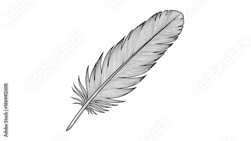 Detailed black and white illustration of a single feather highlighting intricate vanes and