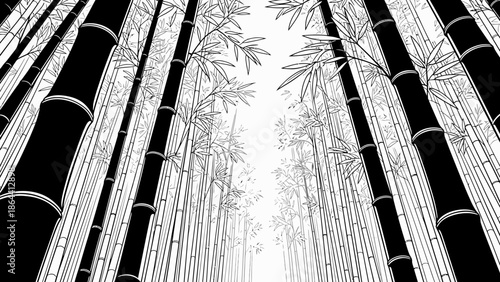Serene monochrome bamboo grove illustrating natural beauty and tranquility