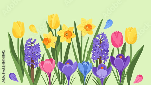 Vibrant springtime flower garden featuring tulips daffodils hyacinths and crocuses in cheerful
