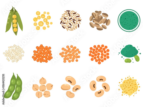 Various Legumes and Pulses Illustration A Colorful Array of Vegetarian Protein Sources
