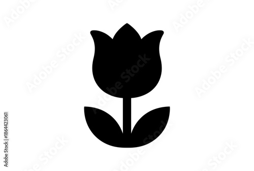 Single black tulip isolated on white background, Vector, illustration