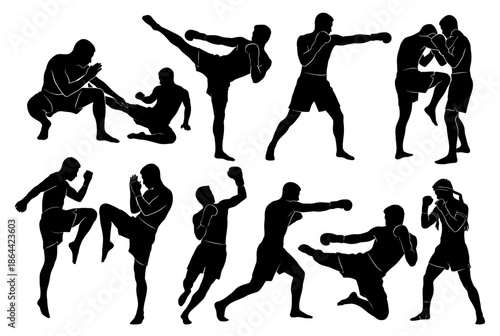 Silhouettes of martial artists in action isolated on white background, Vector, illustration
