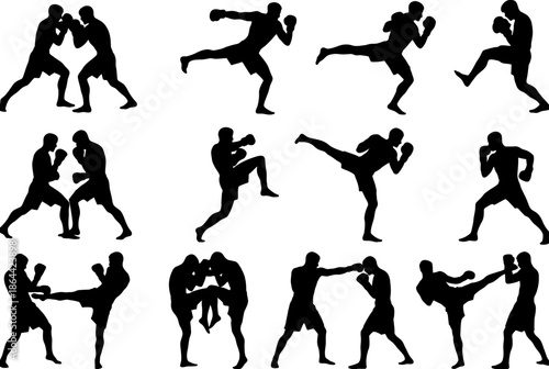 Various martial arts silhouettes isolated on white background, Vector, illustration