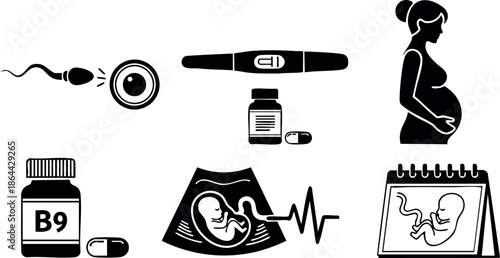 Pregnancy health icons with fetus ultrasound vitamin B9 injection vector illustration 