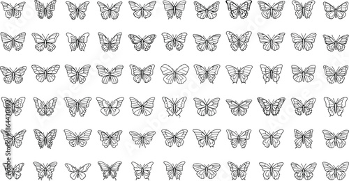 Butterfly illustrations, black and white wings, symmetrical patterns, entomology graphics, insect silhouettes, nature study, species diversity, grid layout, science, art