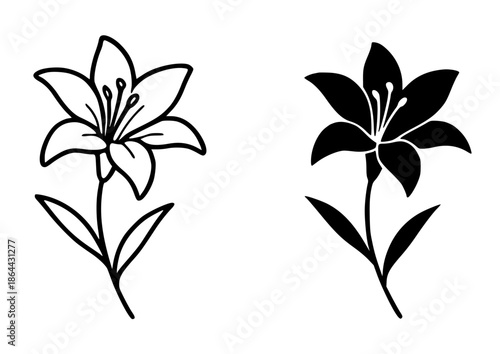 Lily flower illustration icon, outline and silhouette style