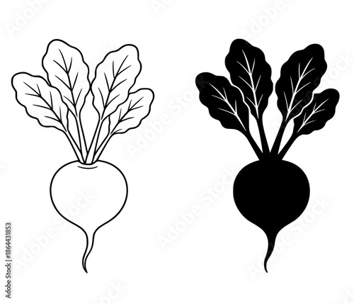 Radish illustration icon, outline and silhouette style