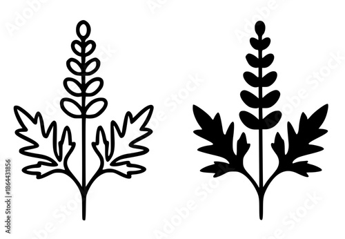Ragweed illustration icon, outline and silhouette style