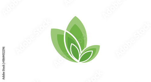 Abstract Leaves Illustration on White Background Presenting the Essence of Growth and Wellness