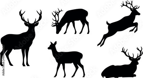 Deer silhouettes in various poses vector illustration black isolated animals nature wildlife 