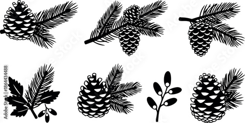 Pine cones and pine needles vector set in black and white natural botanical elements 