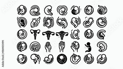 Fetus and Pregnancy Illustration Set – Embryo Development and Motherhood Icons