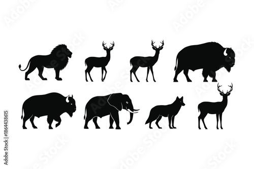 Silhouette of various african animals in black on white background silhouette