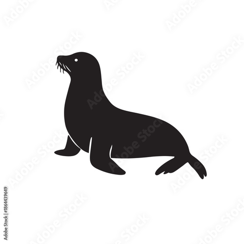 California Sea Lion – Facts, Habitat, Behavior, and Conservation