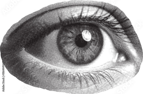 A stark, textured close-up illustration of a human eye in black and white