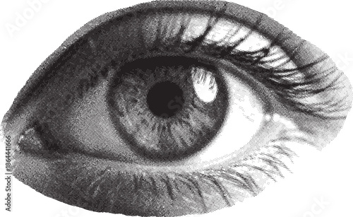 Close-up black and white halftone illustration of a human eye with detailed lashes
