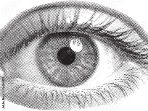 Close-up textured black and white illustration of a human eye depicting intricate details