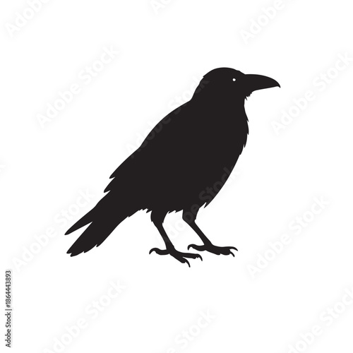 Common Raven – Facts, Habitat, Behavior, and Intelligence