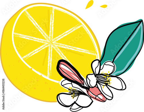 Lemon Half Slice with Flower Bud – Fresh Fruit Design