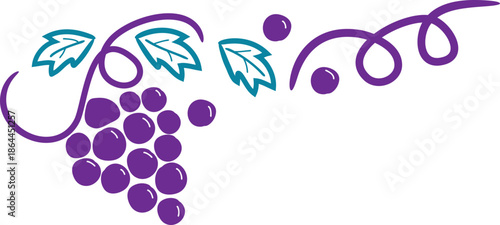 Red Grape Bunch with Stem Illustration