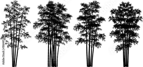 Bamboo tree silhouette collection, oriental forest and tropical plant scenery set, black botanical vector illustration isolated on white background for nature and zen design