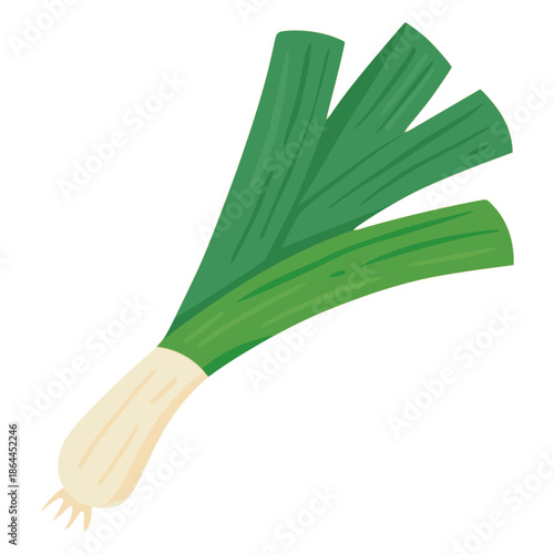 fresh green leek food nature healthy flat color vector illustration template design