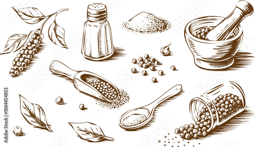 Spices and Herbs Illustration, Various Seasonings and Ingredients, Cooking Elements in Sepia Tones