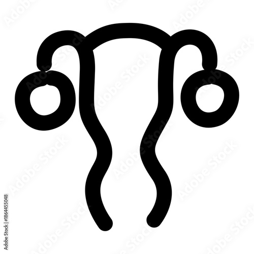 Gynecology vagina uterus