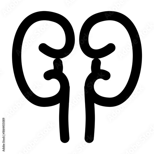 Kidney