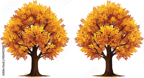 Two beautiful autumn deciduous tree vector illustrations with vibrant orange and yellow fall foliage for seasonal landscape design and nature.