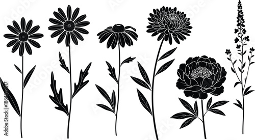 Wildflower Silhouette Vector Set Featuring Daisy Peony Aster and Lavender for Floral Design Spring Garden Botanical Art and Wedding Invitation Graphics