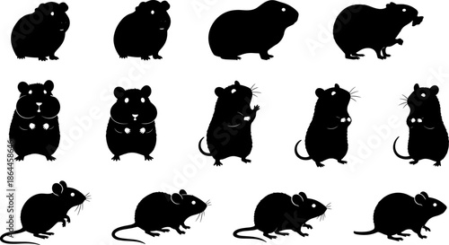 Black, leopard, silhouette, set, panther, cougar, shadow, animal, wild, nature, predator, wildlife, hunting, feline, mammal, cat, tail, run, walk, sit, jump, safari